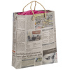 Newspaper Bags (set of 10)