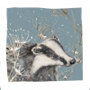 Amnesty Winter Badger Christmas Card