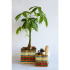 Recycled Plastic Stripe Planter, Small