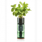 Hydro-Herb Kit: Mint