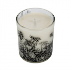 Bee Free Plant Wax Candle (Oats and Honey)