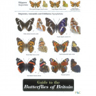 Field Guide to the Butterflies of Britain